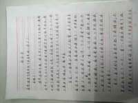 陕西华飞静静商贸有限公司