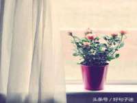陕西华飞静静商贸有限公司