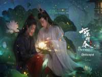 陕西华飞静静商贸有限公司