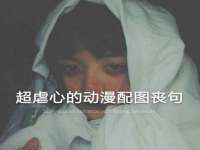 陕西华飞静静商贸有限公司