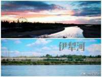 陕西华飞静静商贸有限公司