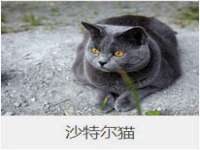 陕西华飞静静商贸有限公司