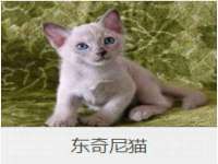 陕西华飞静静商贸有限公司