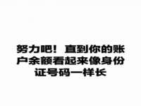 陕西华飞静静商贸有限公司