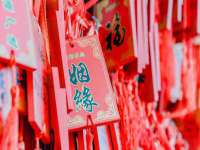 陕西华飞静静商贸有限公司