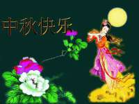 陕西华飞静静商贸有限公司
