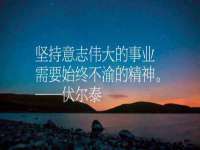 陕西华飞静静商贸有限公司