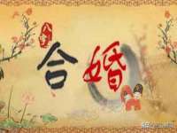 陕西华飞静静商贸有限公司
