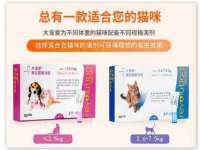 陕西华飞静静商贸有限公司