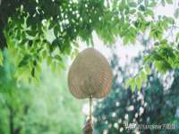 陕西华飞静静商贸有限公司