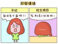 陕西华飞静静商贸有限公司