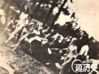 陕西华飞静静商贸有限公司
