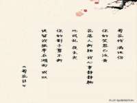 陕西华飞静静商贸有限公司