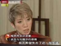 陕西华飞静静商贸有限公司