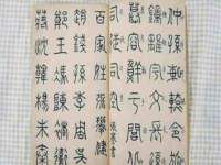 陕西华飞静静商贸有限公司