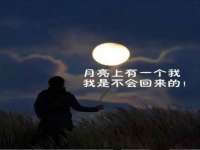 陕西华飞静静商贸有限公司