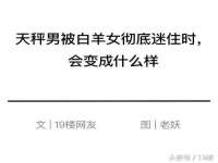 陕西华飞静静商贸有限公司