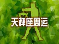 陕西华飞静静商贸有限公司