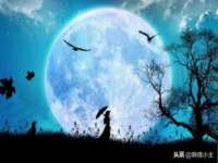 陕西华飞静静商贸有限公司