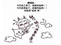 陕西华飞静静商贸有限公司