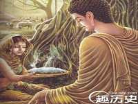 陕西华飞静静商贸有限公司